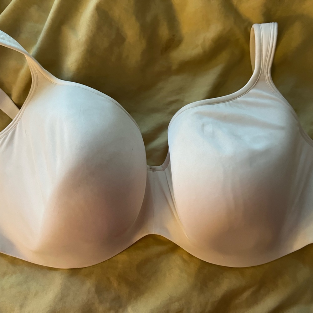 Cacique 40H Full Coverage Bra.  NWOT